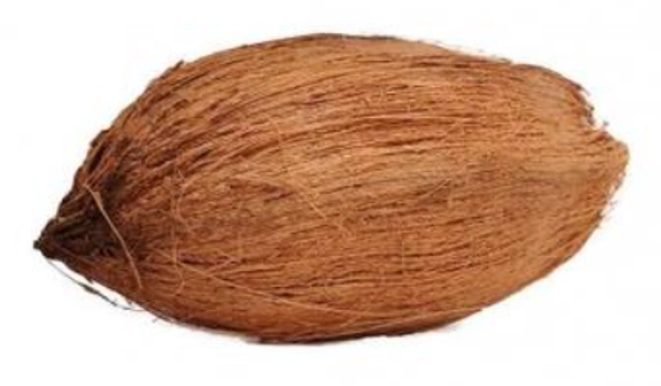 NARIYAL SUKHA (1Pcs)