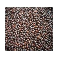 SARV PREMIUM MOTTI RAI 100GM